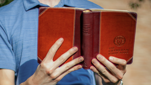 Someone in a blue shirt holding an open Bible