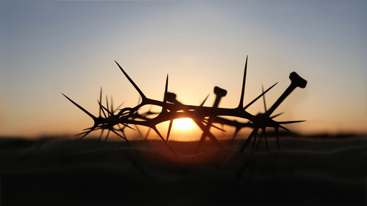 Crown of thorns in front of the sunset