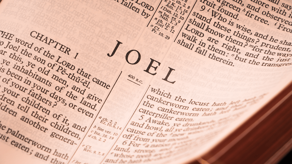 The opening chapter of the book of Joel