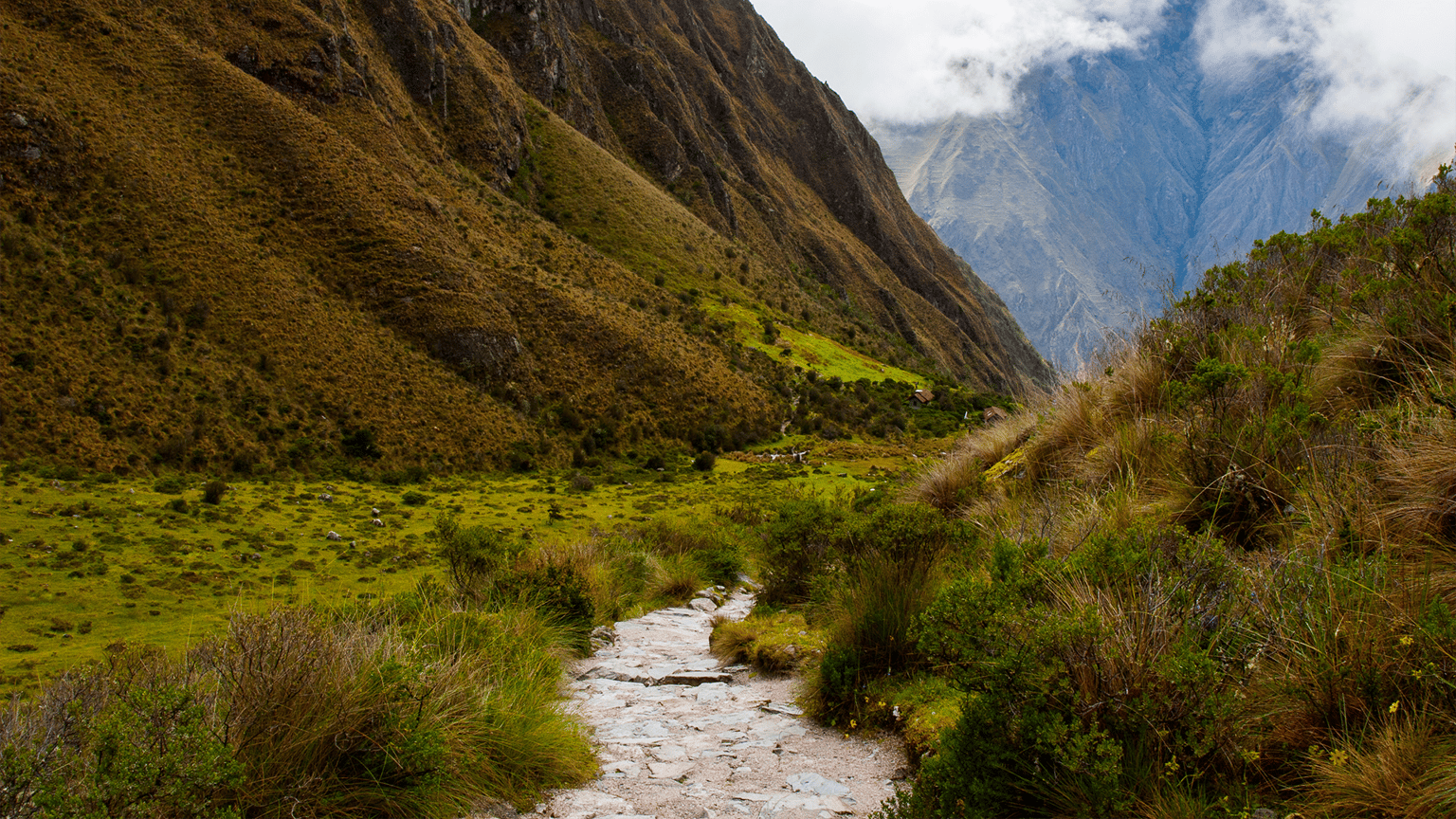 what-do-lutherans-believe-about-mary