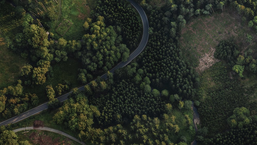 ariel-view-of-road-cutting-through-trees
