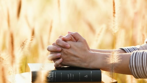 Woman praying with Portals of Prayer devotional Bible during autumn season