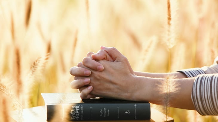 Woman praying with Portals of Prayer devotional Bible during autumn season