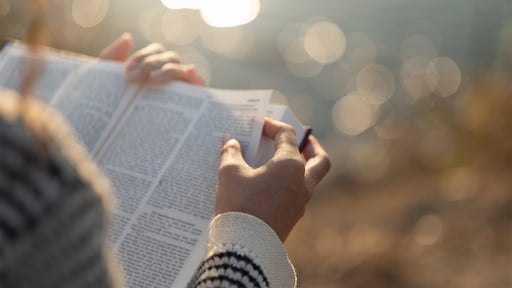 Woman reading Scripture in personal study