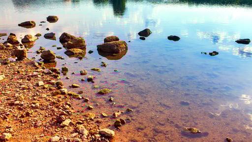 River's edge