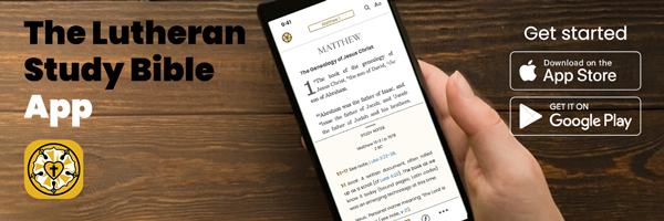 tlsb-email-banner-600x200