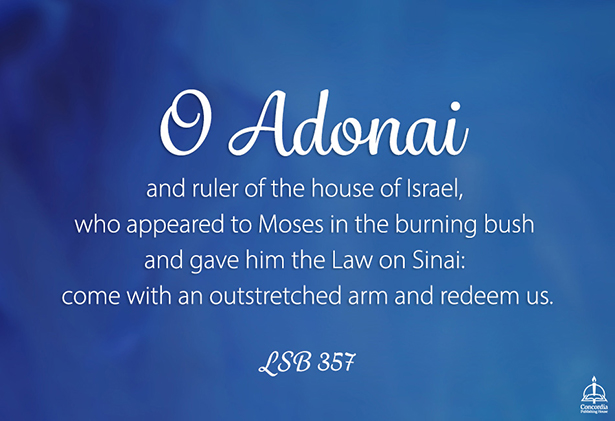 Image result for O Adonai antiphon